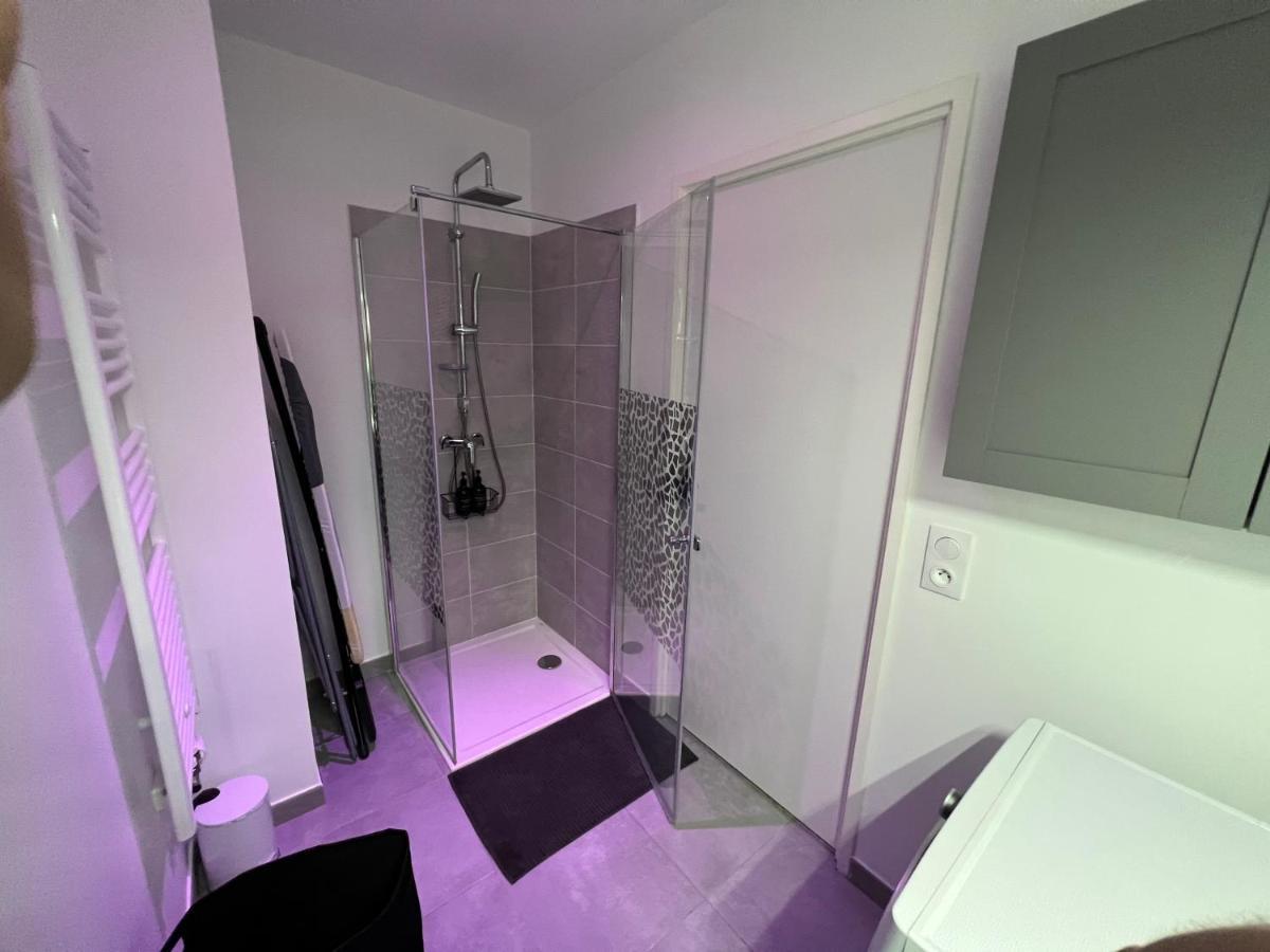 Appartement Avec Son Jardin D'Hiver Поаси Екстериор снимка